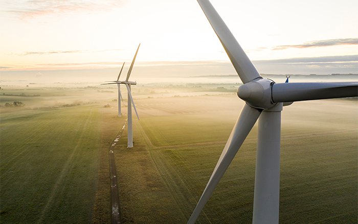 Wind turbines generate energy in haze-filled field.